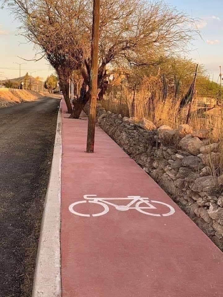Cycling Fun Bike Path Trees